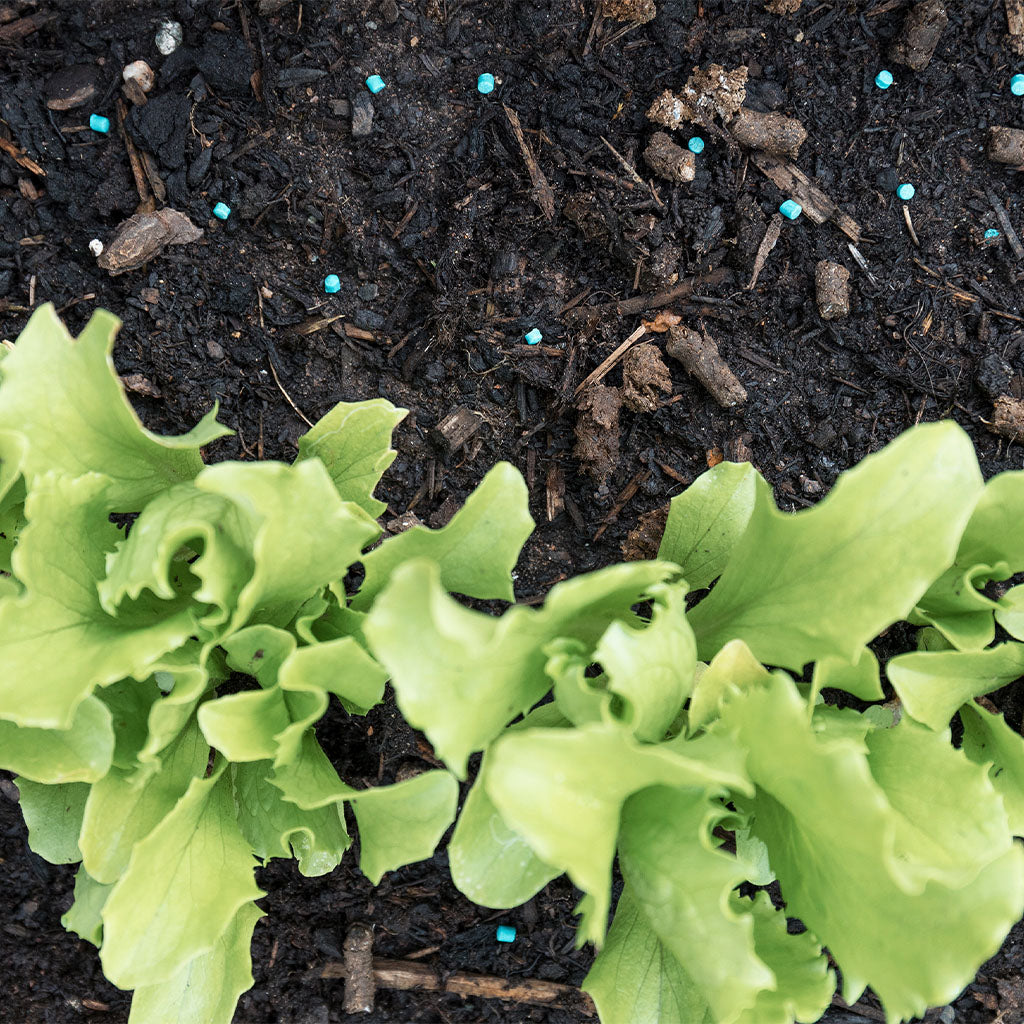 Growing Success Slug Killer Advanced 500g + 15% Extra Free