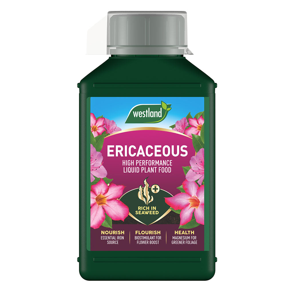 Westland Ericaceous plant food container with pink flowers on a white background