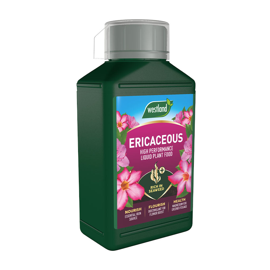 Green bottle of Westland Ericaceous plant food on a white background