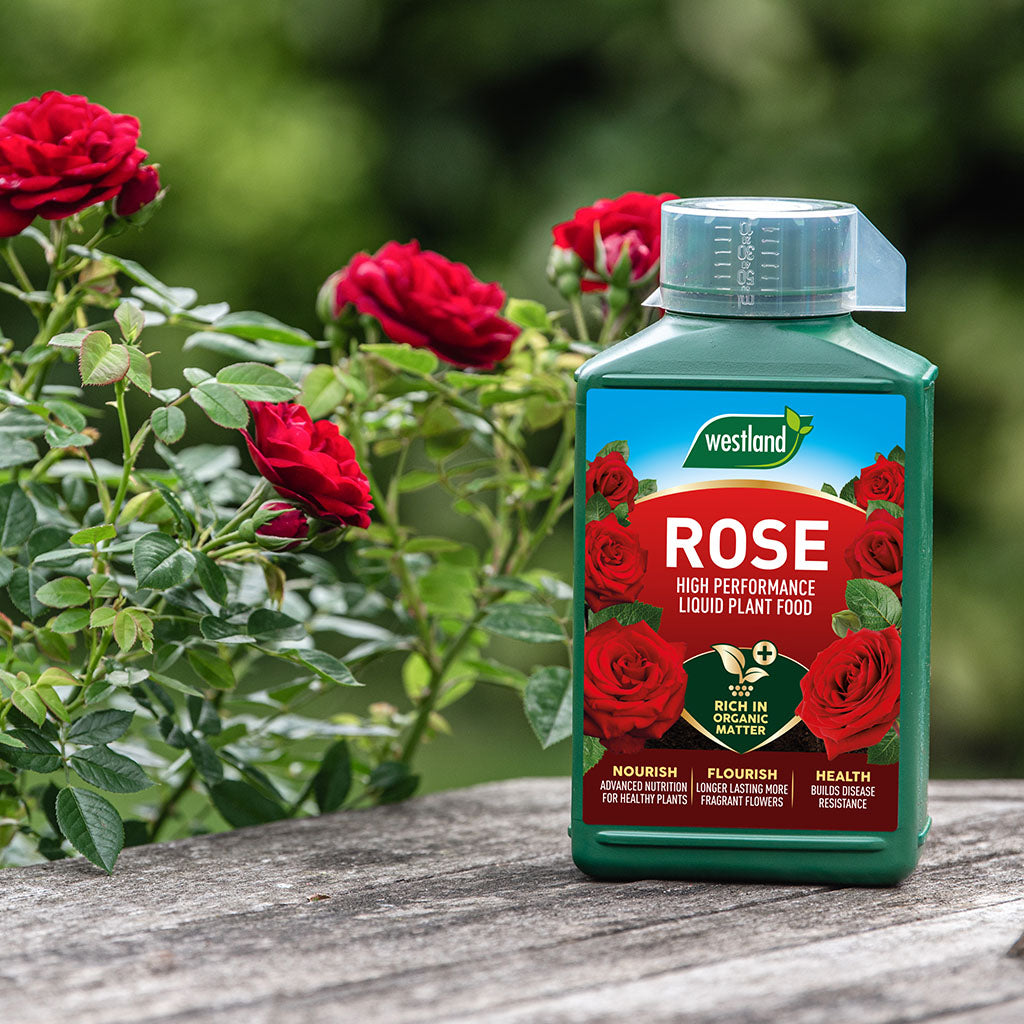 Westland Rose High Performance Liquid Plant Food 1L