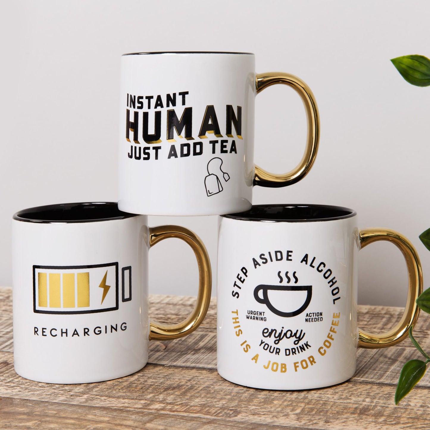 Three white mugs with humorous text designs on a wooden surface.