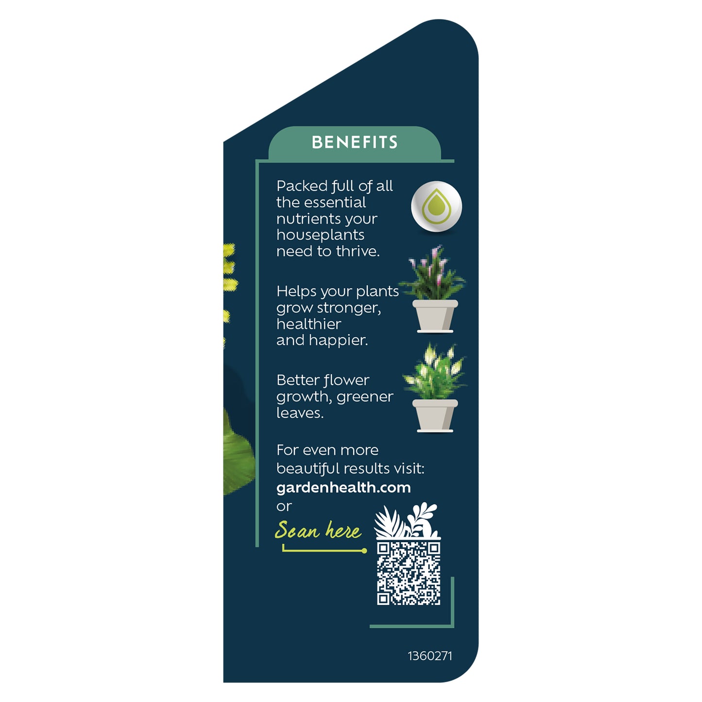 Westland Houseplant Feed Concentrate 200ml