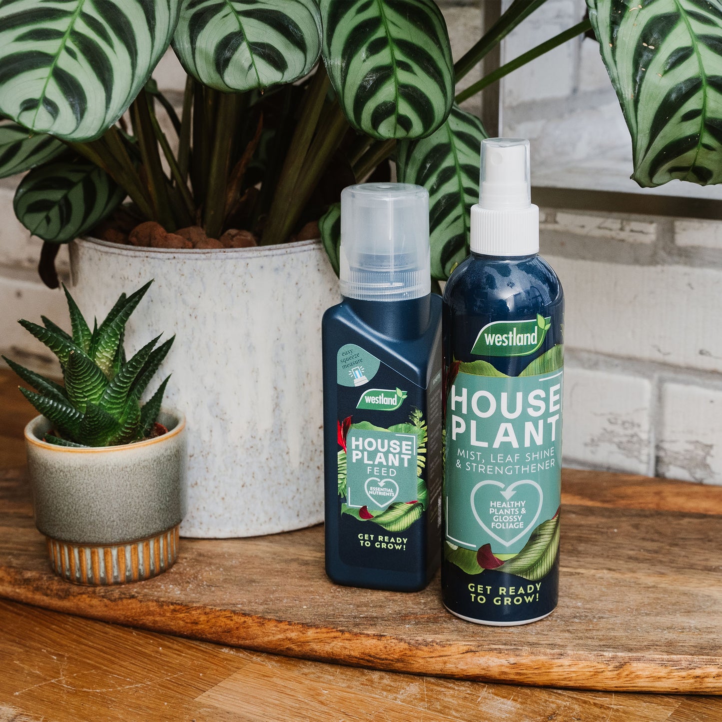 Westland Houseplant Mist & leaf Shine 250ml