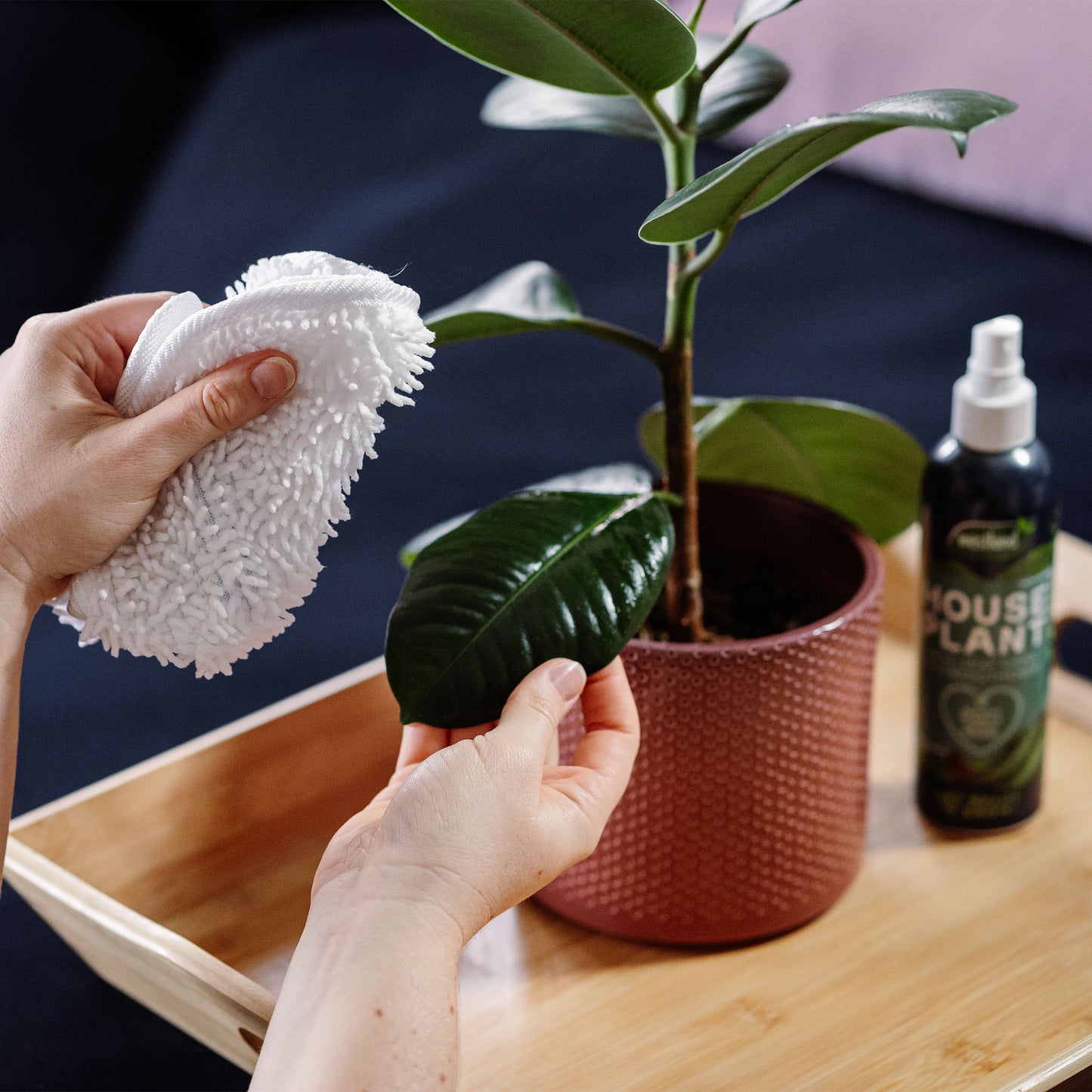 Westland Houseplant Mist & leaf Shine 250ml