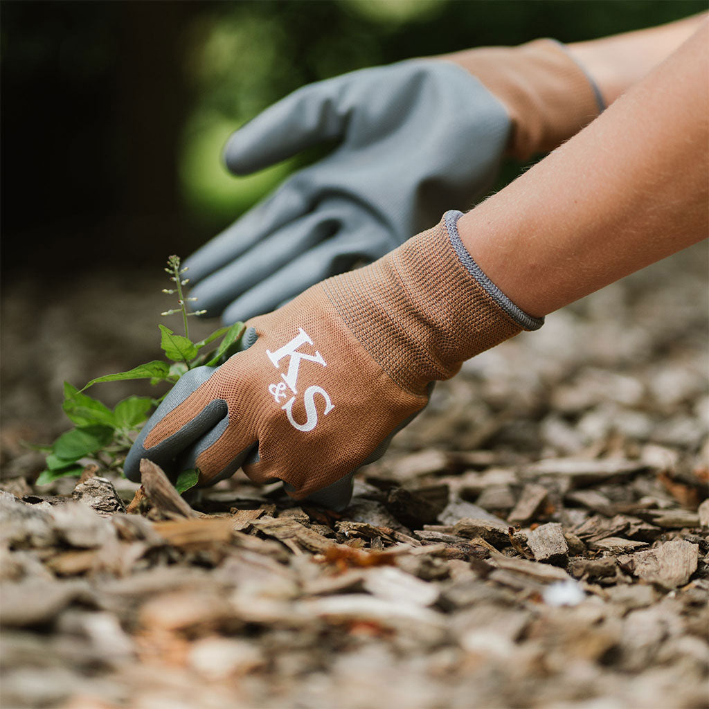 Person wearing gardening gloves with 'K&S' logo planting a small plant in soil.