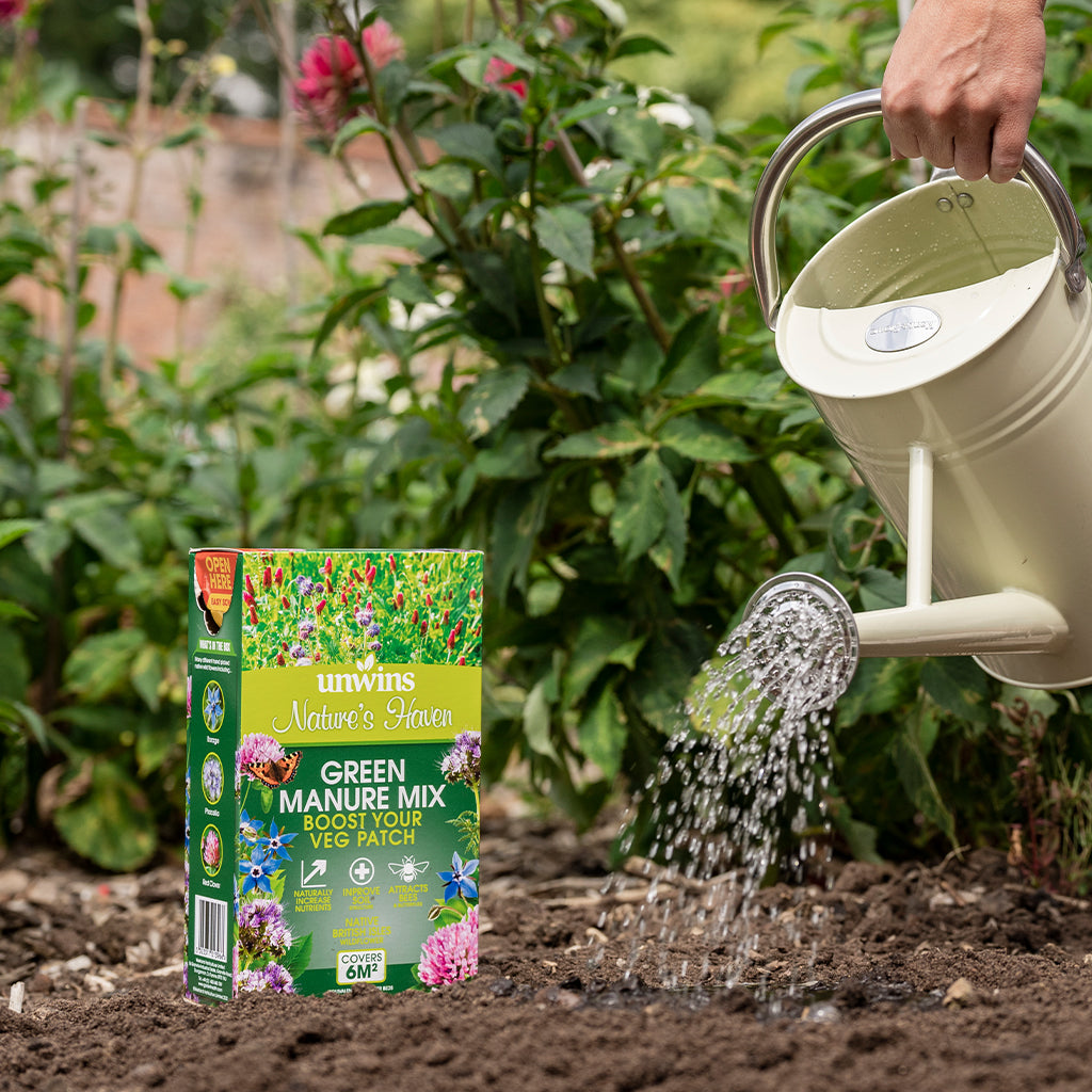 Person watering garden soil with a watering can, next to a box of Unwins Green Manure Mix.