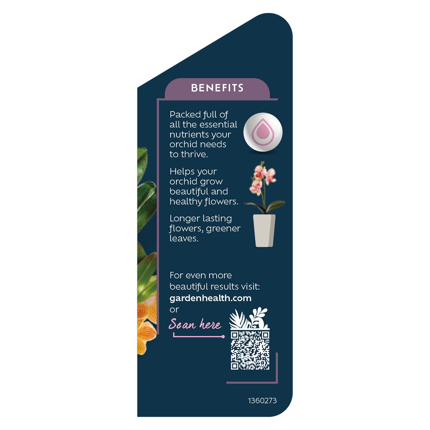 Westland Orchid Feed Concentrate 200ml