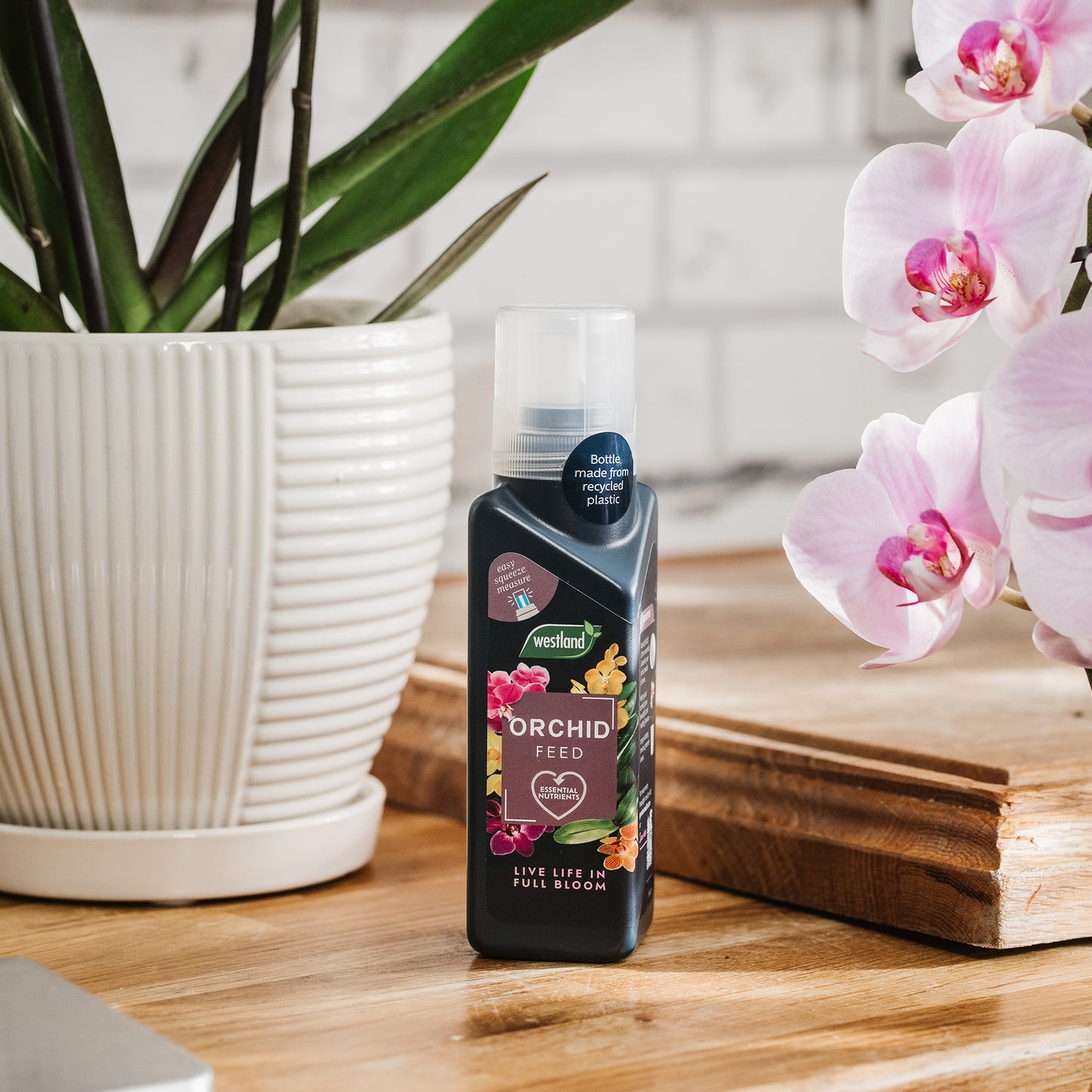 Westland Orchid Feed Concentrate 200ml