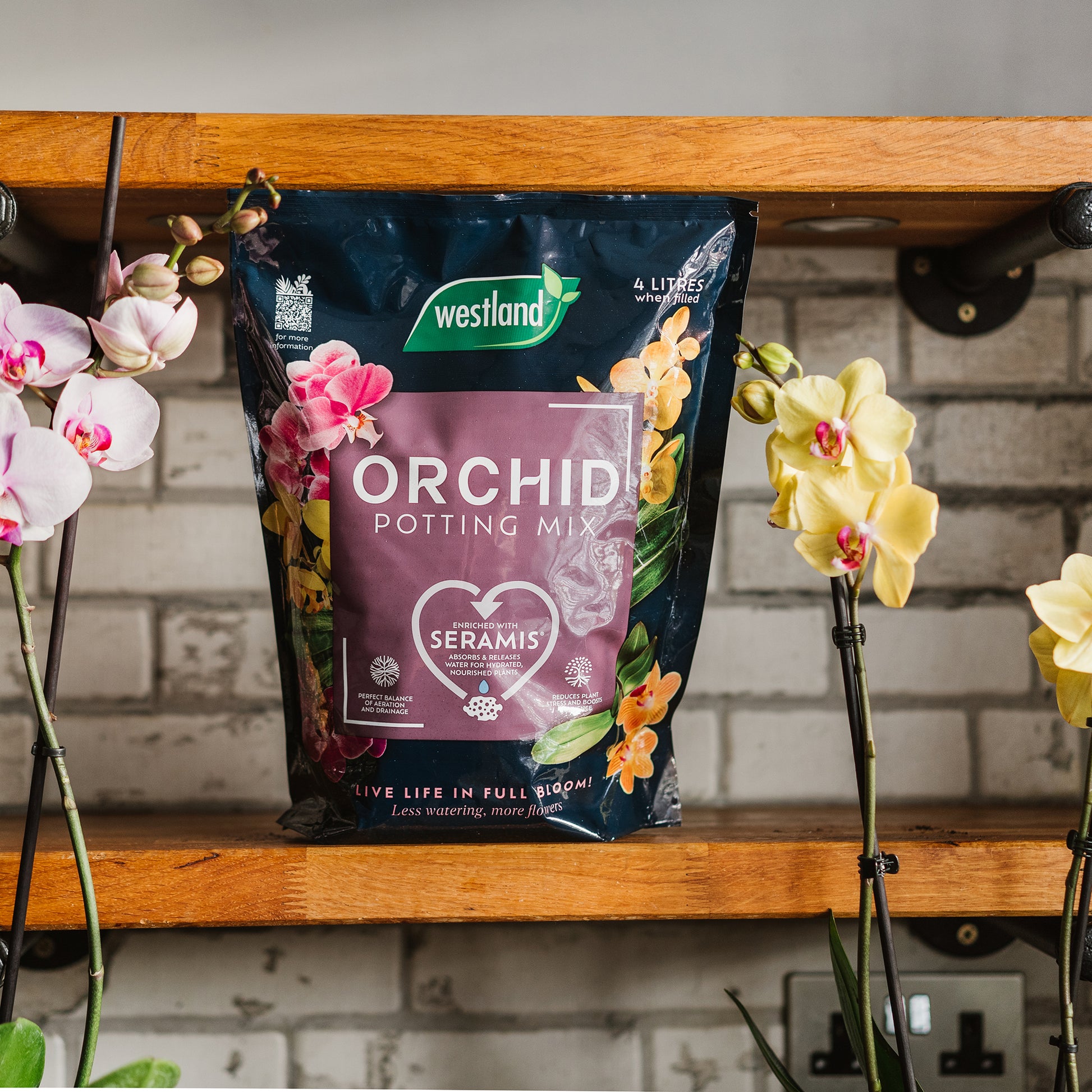 Westland Orchid Potting Mix bag on a wooden shelf with orchids around