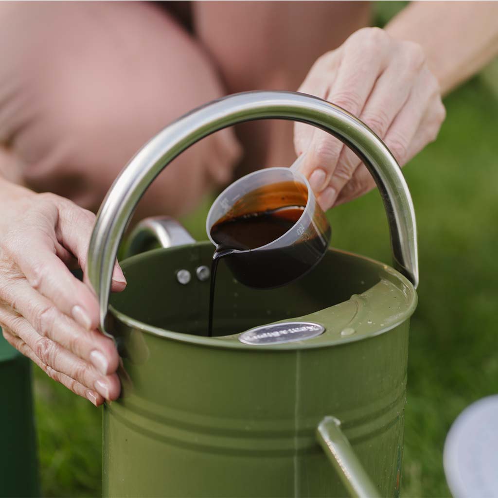 Person pouring liquid into a green metal bucket with a handle.