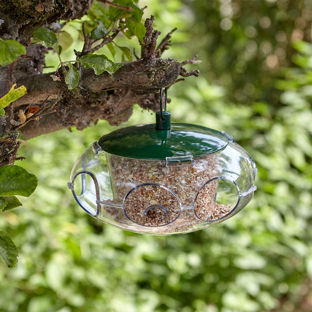 Peckish Small Bird Seed Feeder