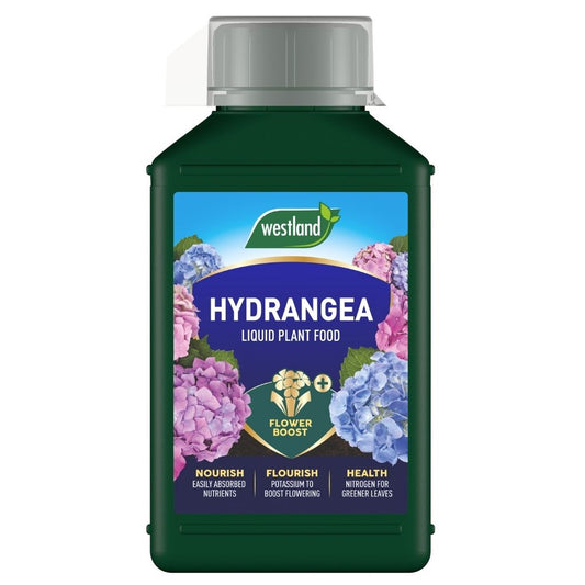 Westland Hydrangea liquid plant food bottle on a white background