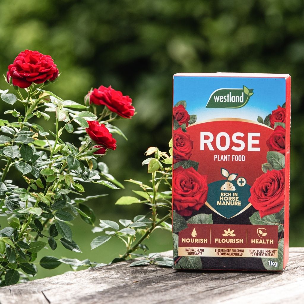 Westland Rose Food 1kg