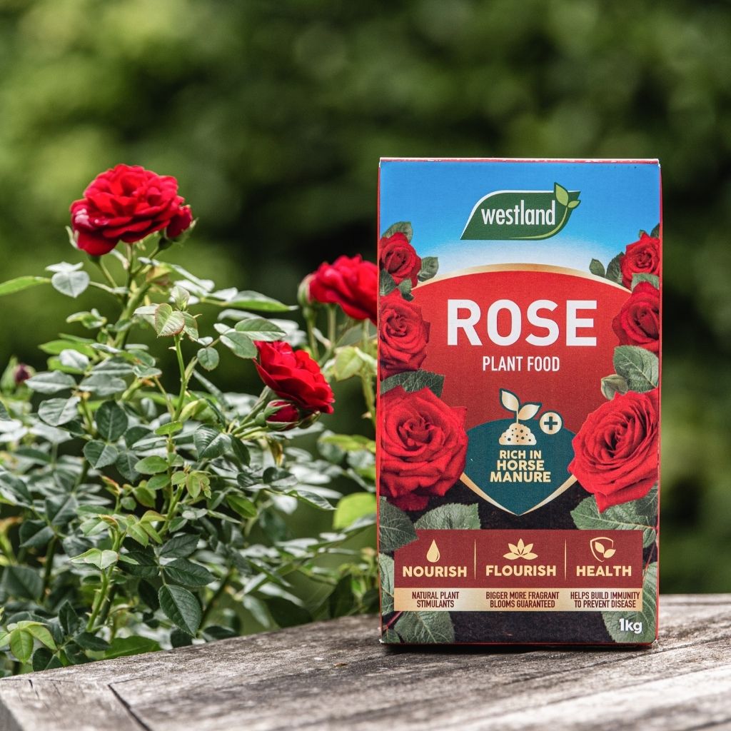 Westland Rose Food 1kg