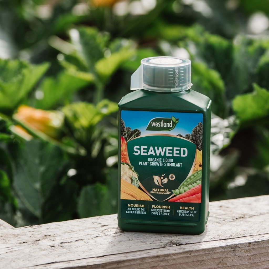 Westland Seaweed Organic Liquid Plant Growth Stimulant 1L