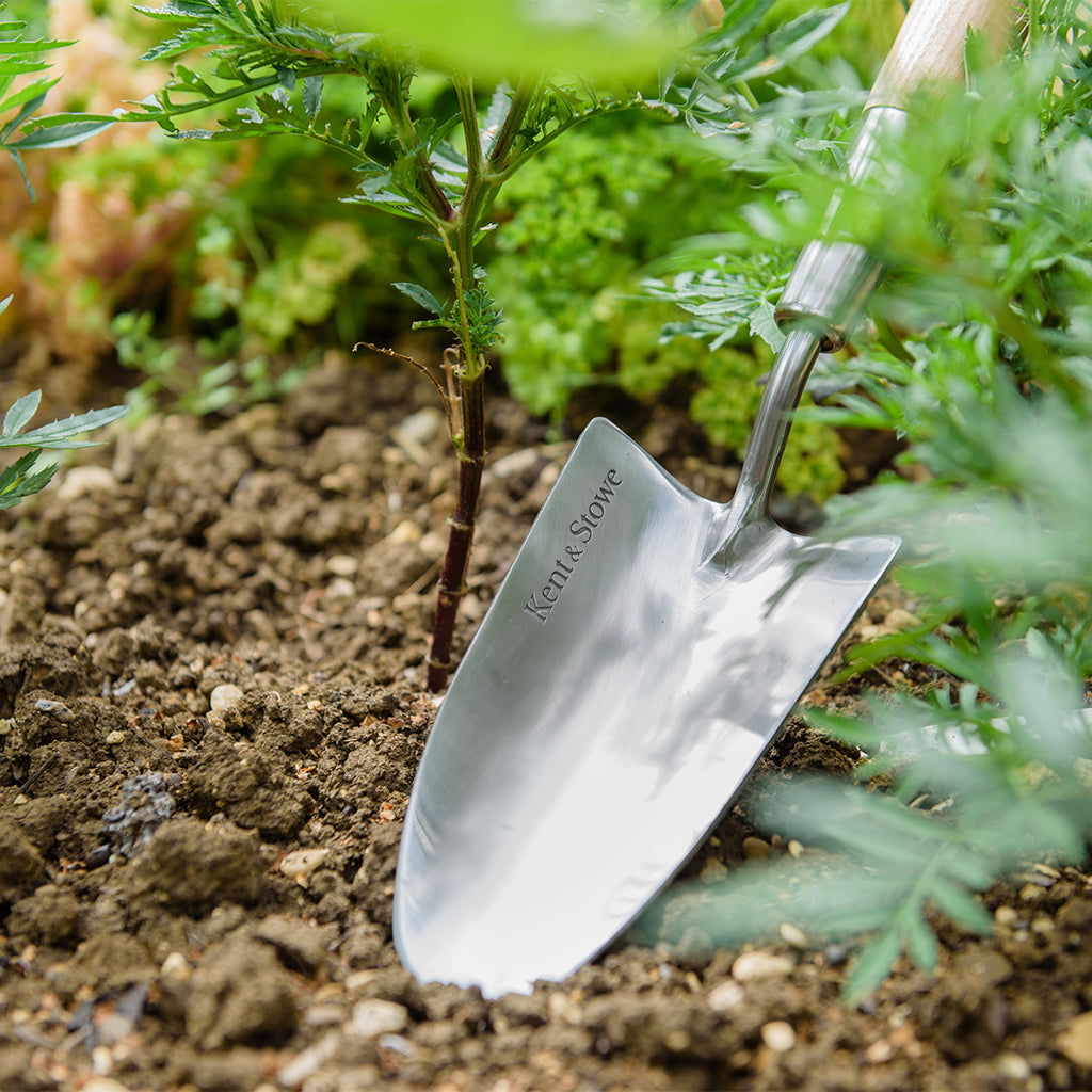 Small gardening trowel in soil with plants around