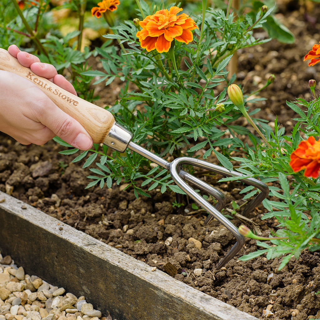 Hand using a garden tool in a flower bed with marigolds