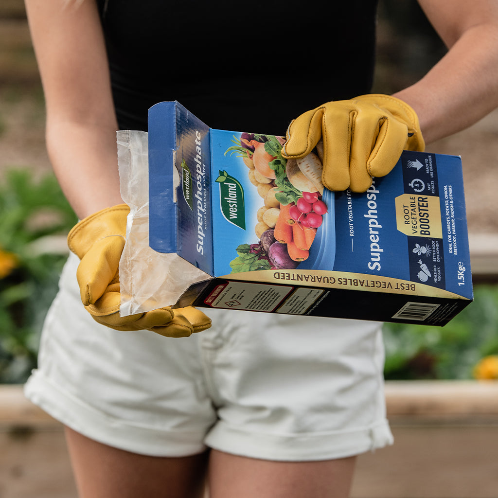 Person holding a box of Westland Superphosphate fertilizer with gardening gloves on.