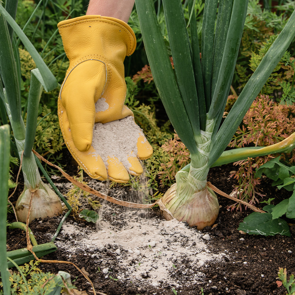 Hand wearing a yellow glove watering plants in a garden