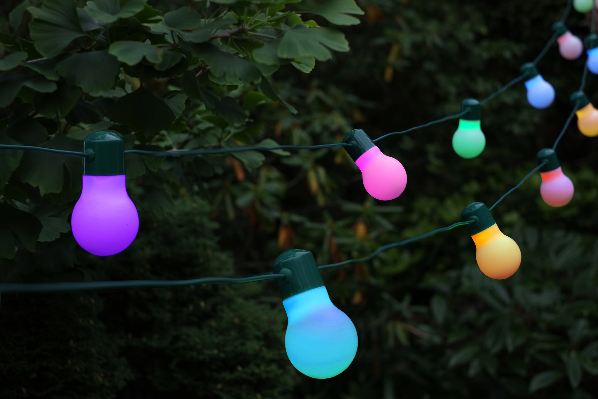 String of colorful outdoor lights against a dark background