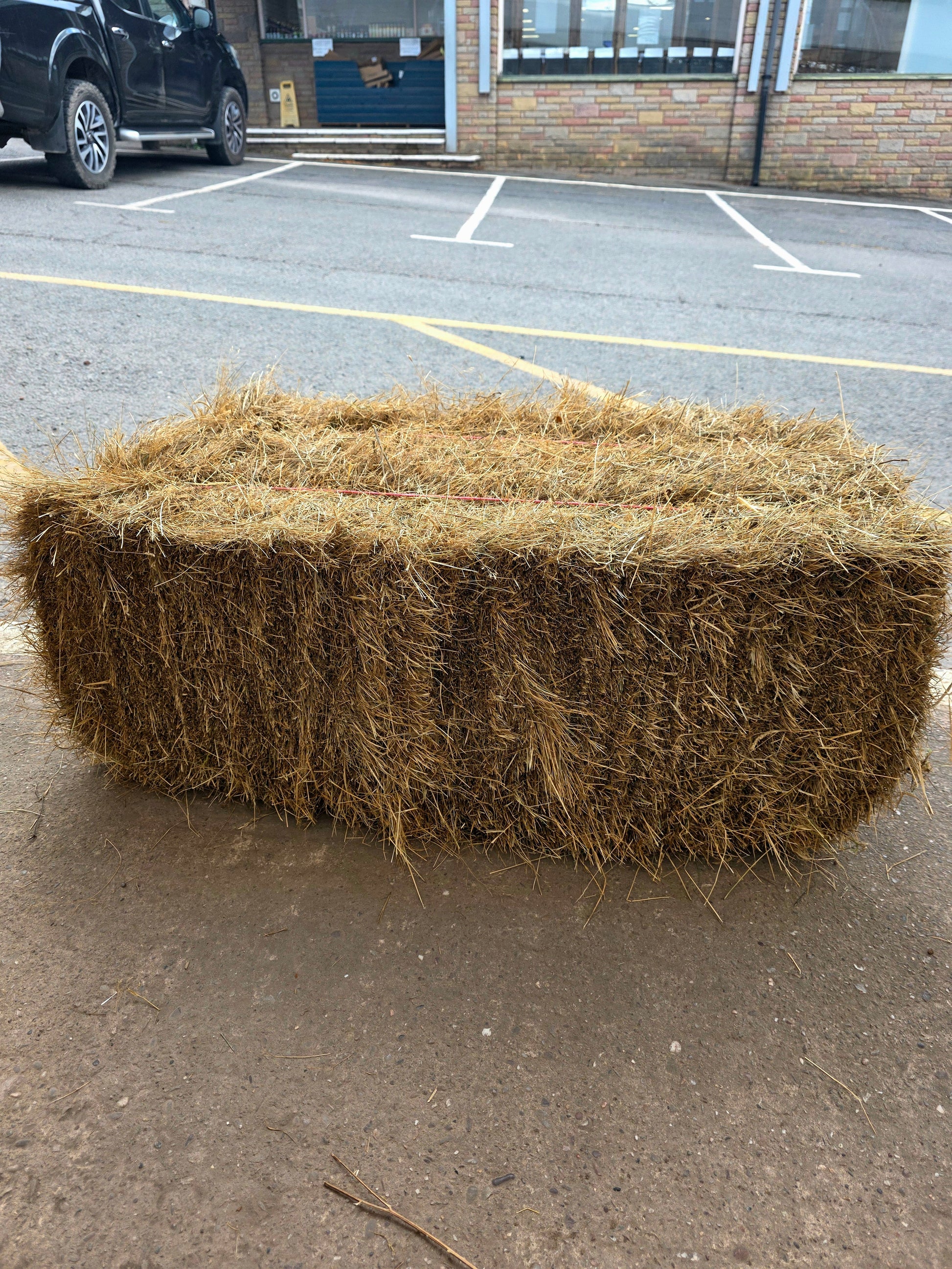 Hay bale on a concrete surface with a building and vehicle in the background