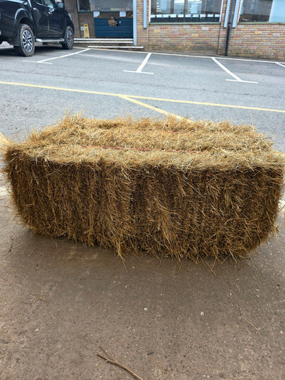 Hay bale on a concrete surface with a building and vehicle in the background