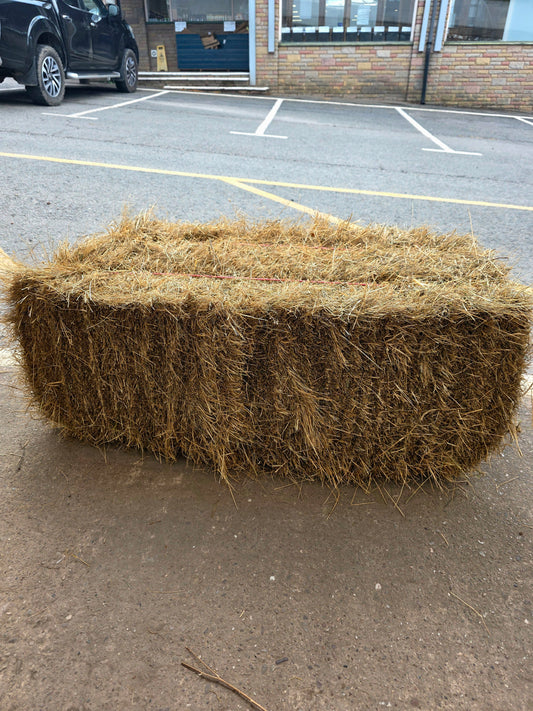 Hay bale on a concrete surface with a building and vehicle in the background