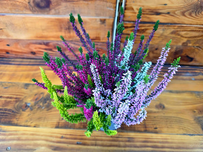 Potted plant with purple and green flowers on a wooden surface