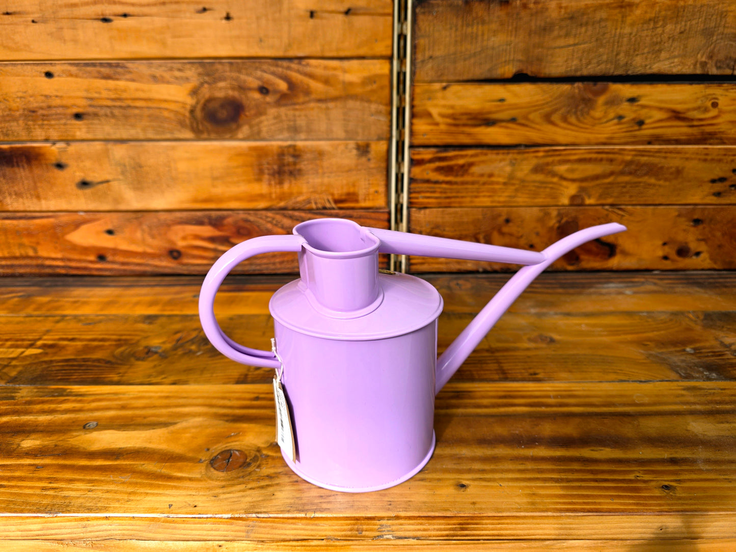 Purple watering can on a wooden surface