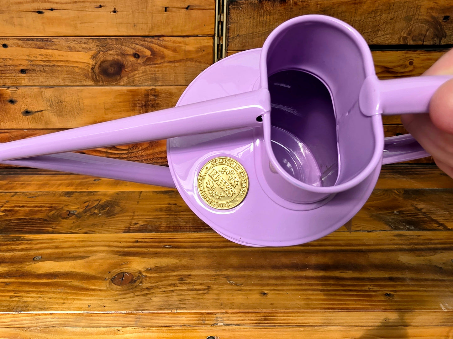 Purple watering can on a wooden surface