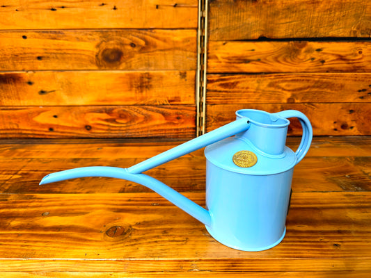 Light blue watering can on a wooden surface