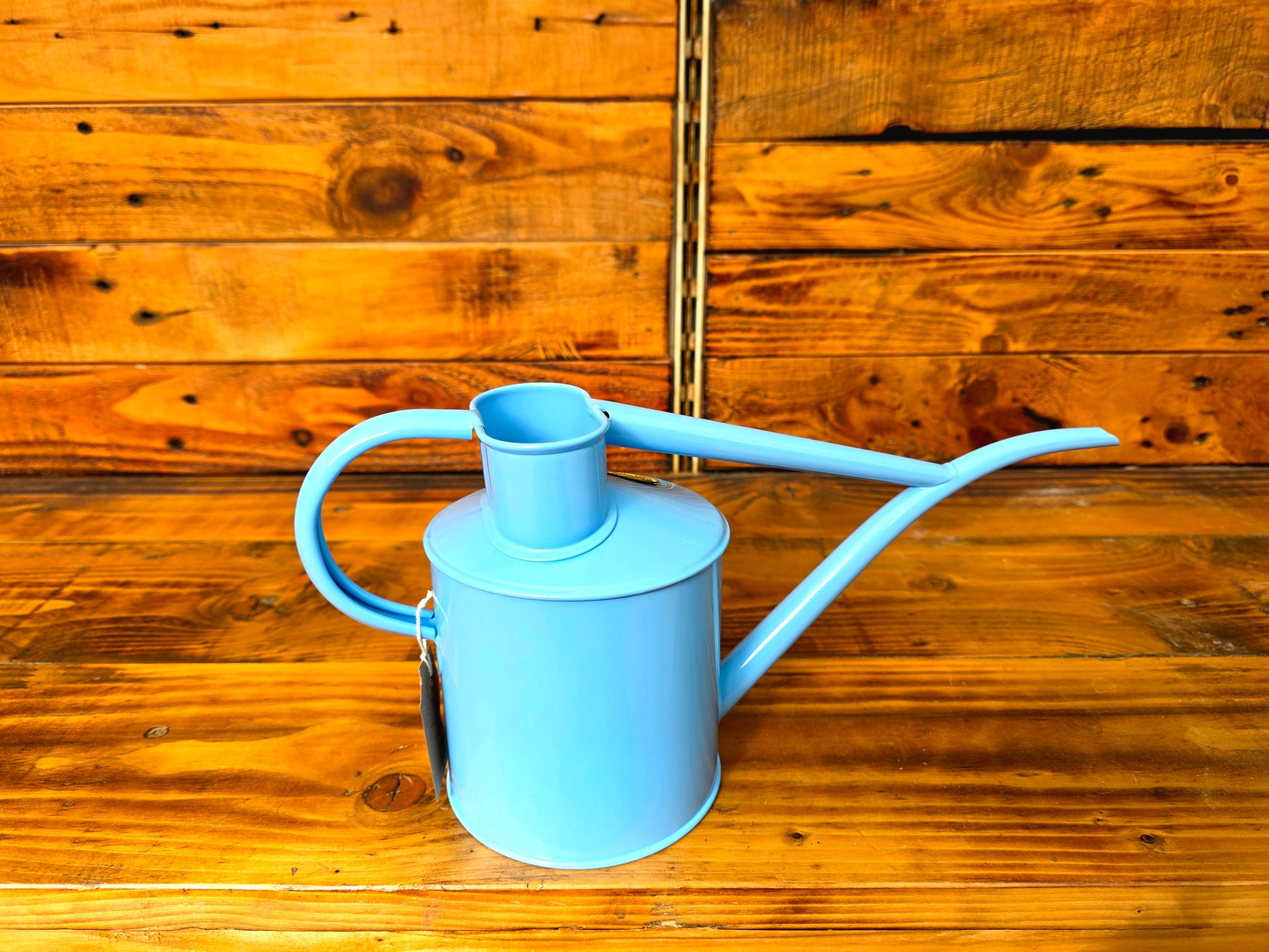 Light blue watering can on a wooden surface