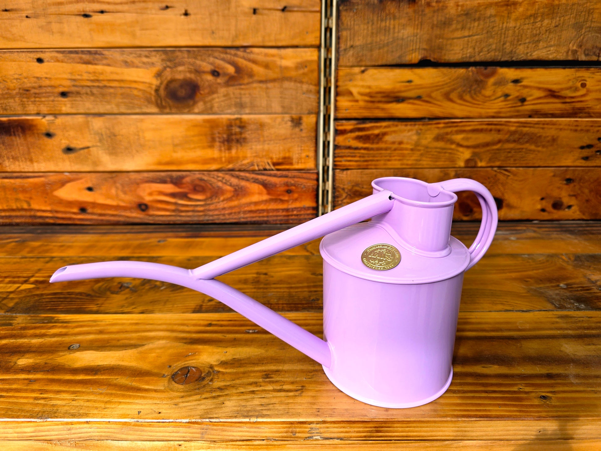 Purple watering can on a wooden surface