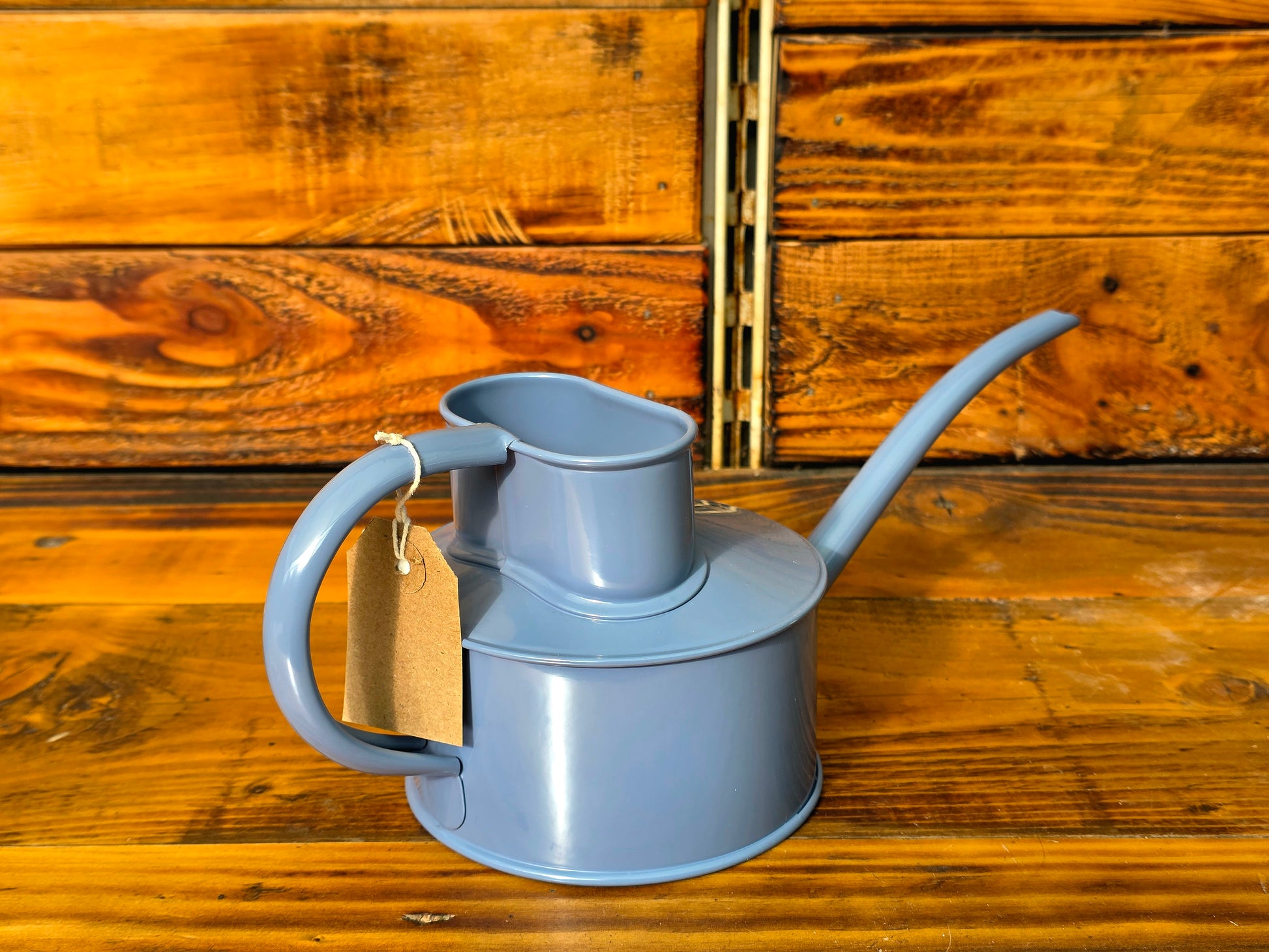 Blue watering can on a wooden background