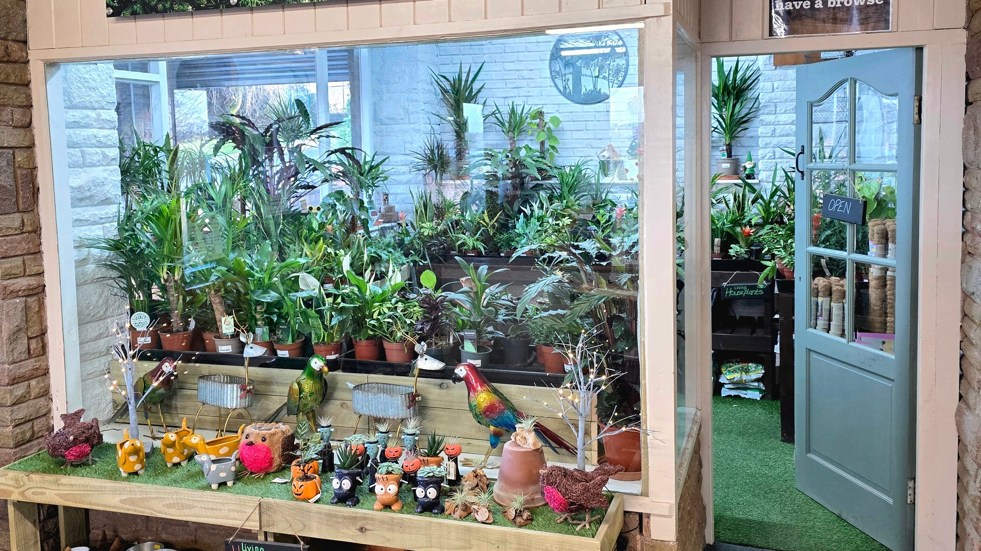 Store interior with 'Grasmere House Plants' sign and display of potted plants.