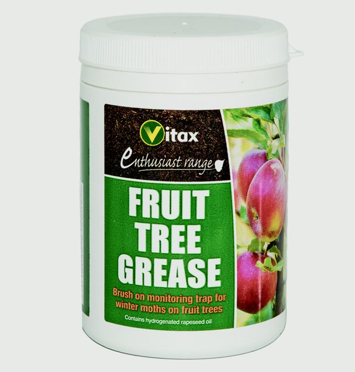Vitax Fruit Tree Grease container with a white lid on a white background