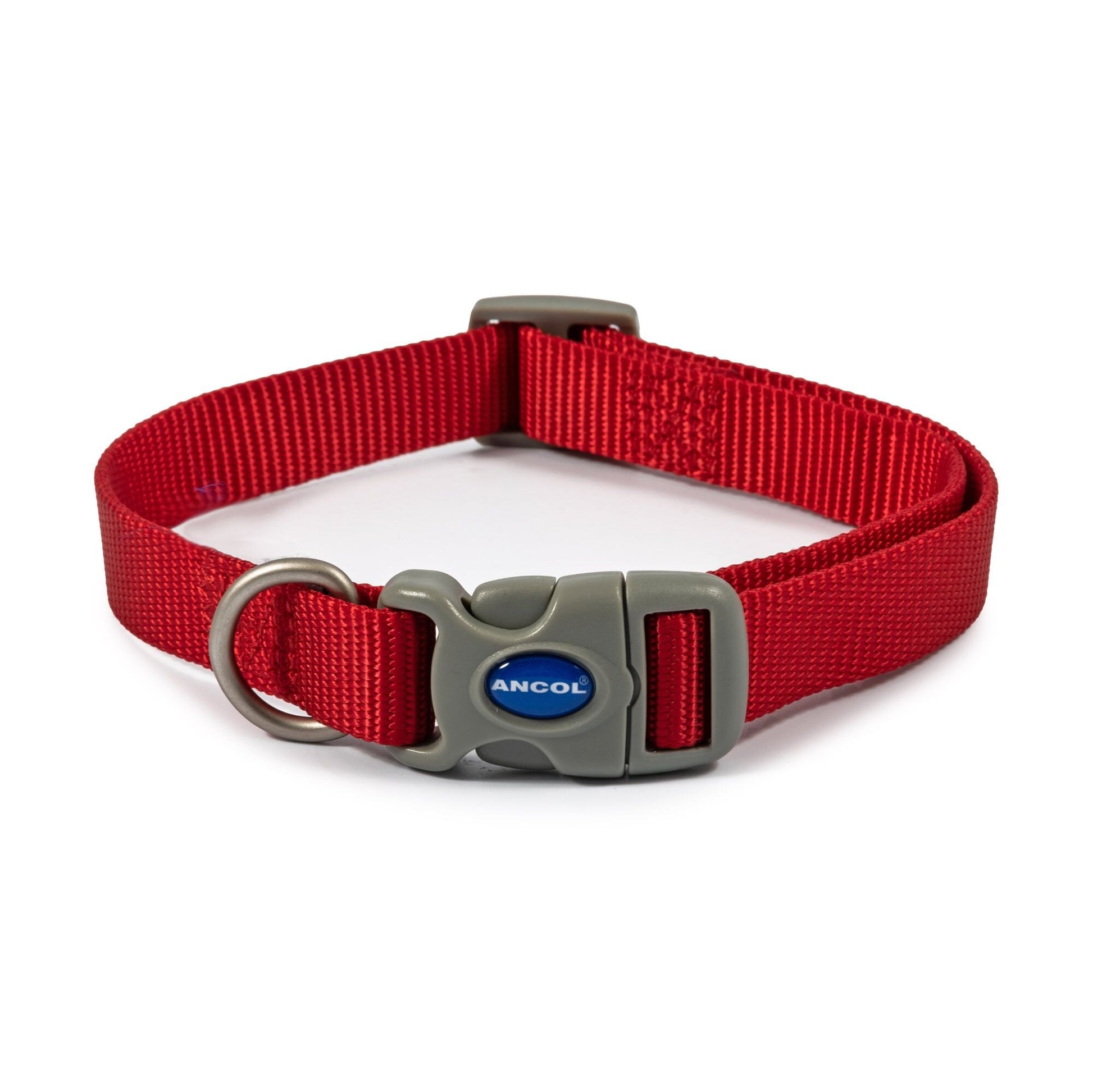 Ancol Viva Nylon Quick-Fit Dog Collar 20-30cm S Size 1-2 Red on a white background