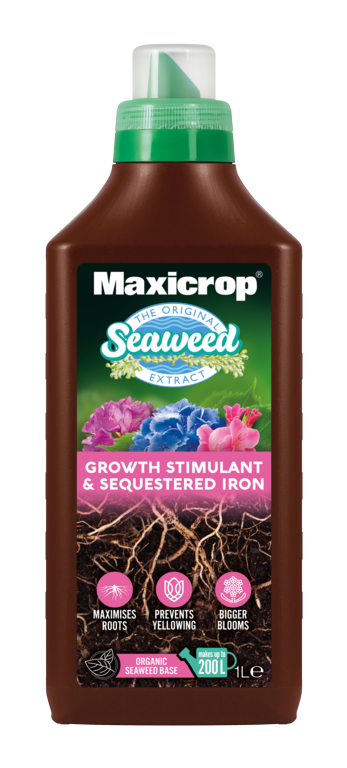 Maxicrop Seaweed extract bottle on a white background