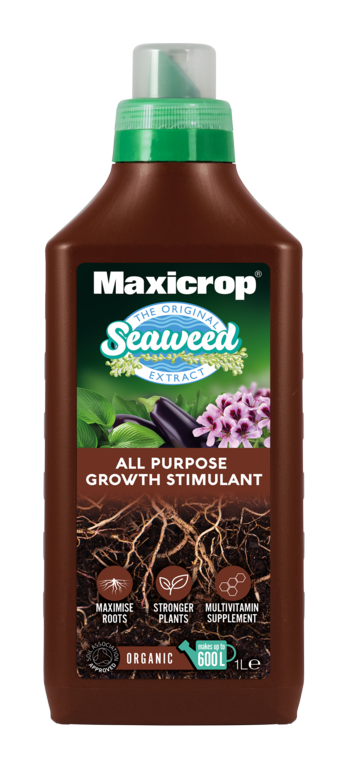 Maxicrop Seaweed All Purpose Growth Stimulant bottle on a white background