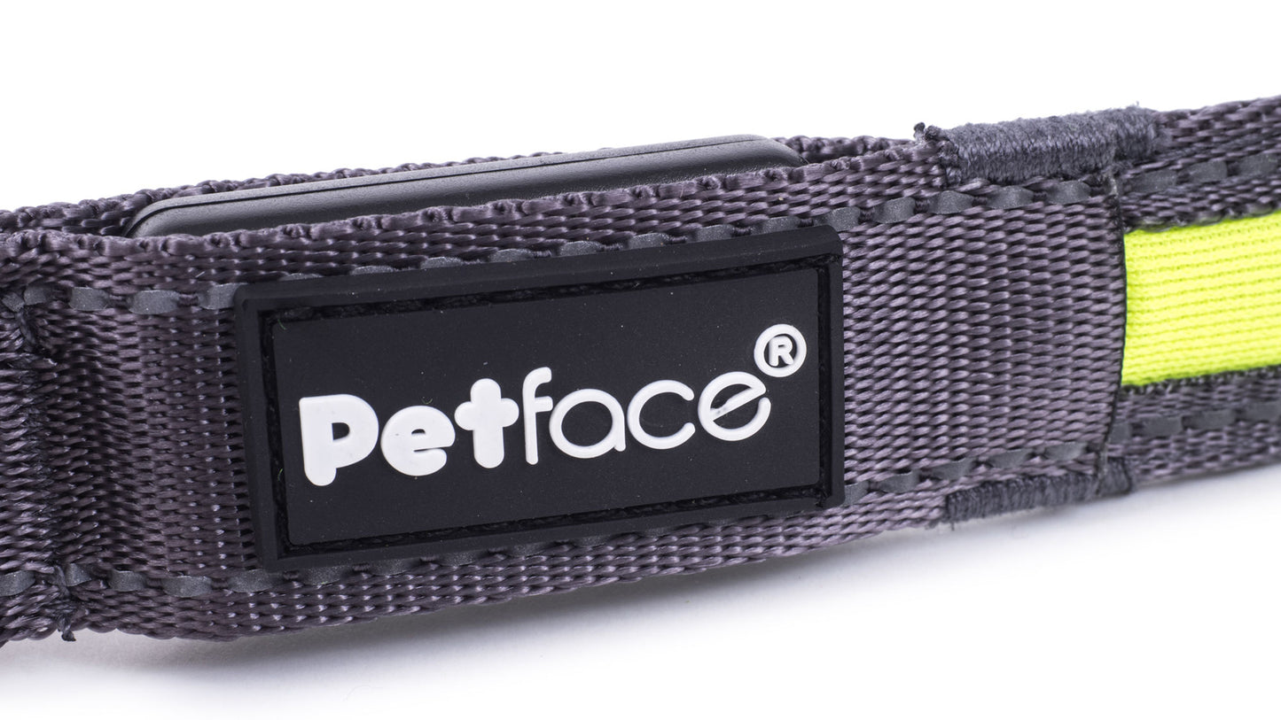 Gray pet collar with a visible 'Petface' logo on a white background