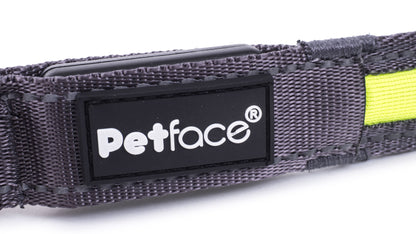 Gray pet collar with a visible 'Petface' logo on a white background