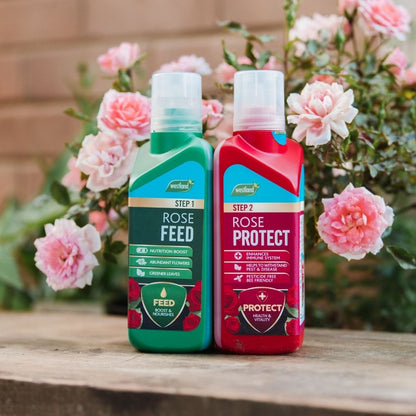 Two bottles of rose care products with flowers in the background