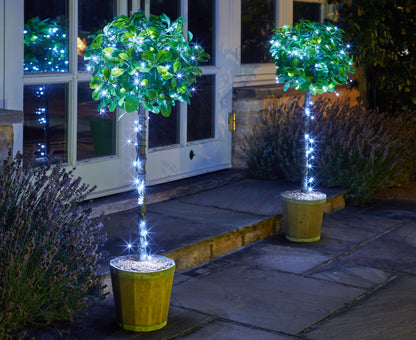 Two potted plants with string lights on a patio at night.