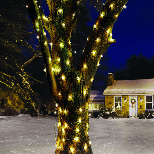 Tree decorated with string lights in front of a house at night