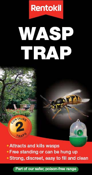 Rentokil Wasp Trap box contains 2 | Poison free discreet hanging and standing wasp killer | UK garden pest control