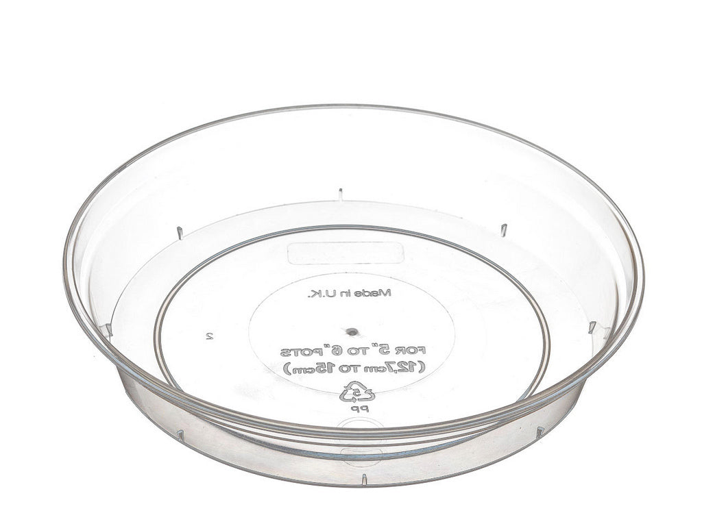 Clear plastic container lid with branding on a white background