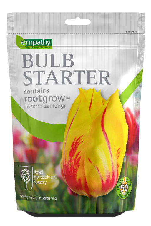 Bulb starter package with a tulip on a white background