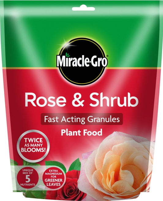Miracle-Gro Rose & Shrub Plant Food packaging with a rose illustration on a white background