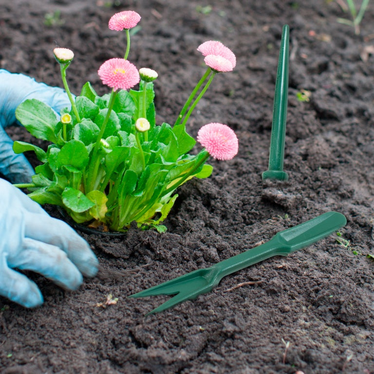 Person planting pink flowers in soil with gardening tools