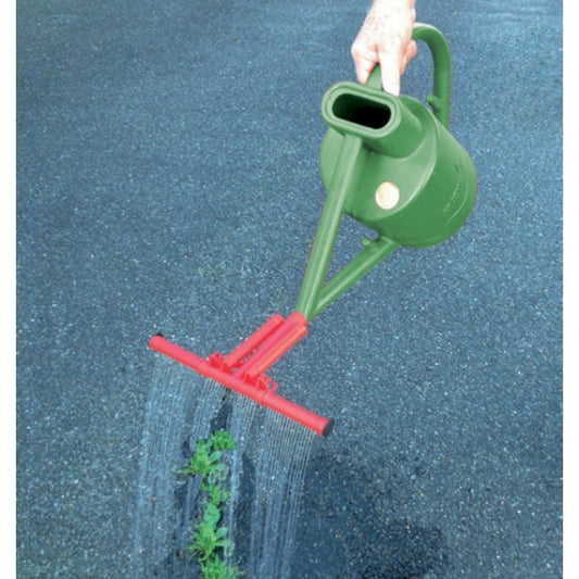 Green watering can with red stand being used to water plants on a blue surface